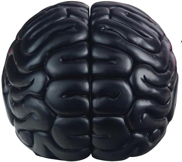 Brain Bookends, 6.5Inch Tall Brain Decorative Resin Book Shelf Organizers Book Holders