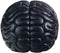 Brain Bookends, 6.5Inch Tall Brain Decorative Resin Book Shelf Organizers Book Holders