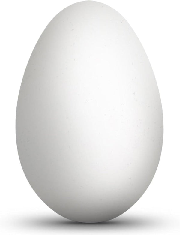 BestPysanky Blown Out Hollow Real Goose Eggshell, Empty Cleaned-Out Egg for Easter