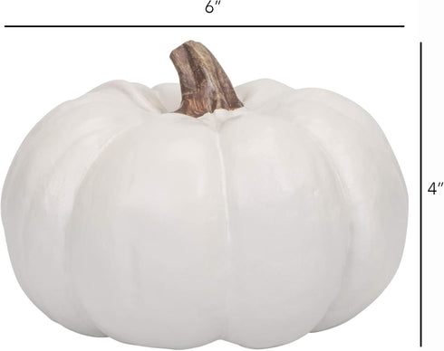 Elanze Designs Classic White Decorative Pumpkins Pack of 2, 6 Inch Resin Harvest