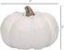 Elanze Designs Classic White Decorative Pumpkins Pack of 2, 6 Inch Resin Harvest