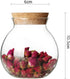 1PCS 500ML/17OZ Glass Favor Jars with Cork Lids, Transparent Round Food Storage Bottles for Kitchen