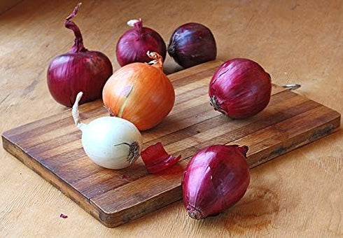 NIKA SEEDS 500 Seeds Vegetable Onion Rainbow Mix Neutral - Seeds