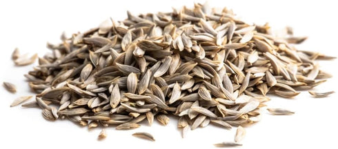 Lindsay Seed (2300 Romaine Lettuce Seeds (Parris White Cos) Seeds)