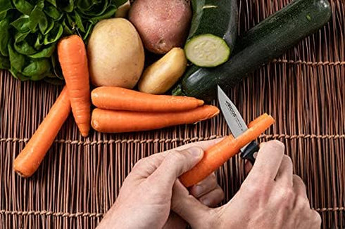 Arcos 3 Inch 75mm Rivet Paring Knife Stainless Steel. Kitchen Knife for Peeling Fruits and Vegetables. Ergonomic