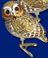 Old World Christmas Clip-on Pygmy Owl Bird Blown Glass Ornament 18067, Free Box Included