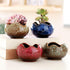 YYW Succulent Pots - 4 Pcs Ceramic Planters in Egg Broken Shell Design with Drainage Hole for Home Office Outdoor Decor