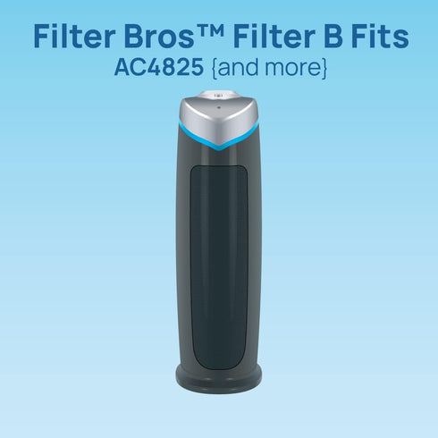Filter Bros Carbon Filter B 4-Pack Replacement for GermGuardian AC4825 AC4900CA