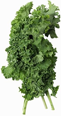 Seed Kingdom 1/4 Lb Kale Dwarf Siberian Improved Great Heirloom Vegetable by Bulk Seeds