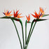 Artificial Flowers Bird of Paradise Greenery Plants, 6pcs Indoor Outside Garland for Home Garden Wedding