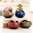 YYW Succulent Pots - 4 Pcs Ceramic Planters in Egg Broken Shell Design with Drainage Hole for Home Office Outdoor Decor