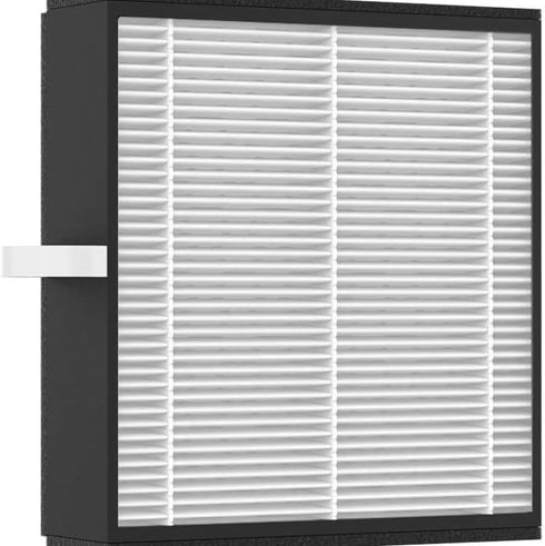 Afloia Efficient Filter for Q10 Air Purifier and Dehumidifier (Air Purifier Q10 Filter Replacement)