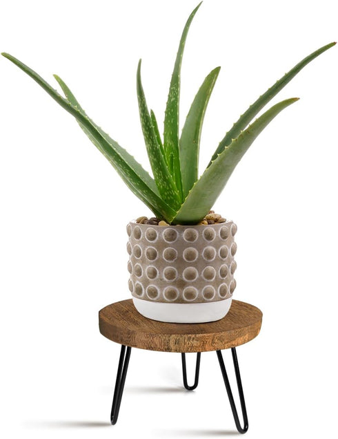 Plant Stand Indoor Outdoor, Wooden plant Stool, Mid Century Plant Stand for