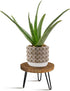 Plant Stand Indoor Outdoor, Wooden plant Stool, Mid Century Plant Stand for