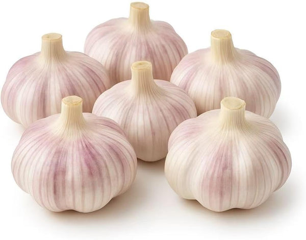 Loseedsoo Garlic Bulbs for Planting (6 Pack) Fresh Hardneck Seed Garlic, Non-GMO Heirloom