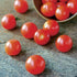 Pack 30 Park Seed Cherry Tomato Seeds, Planting Vegetables, Easy to Grow, Non-GMO, Variety of Colors and Sizes, Spring