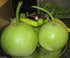 10 Asian Vegetable Seeds "Calabash Round" Edible Bottle Gourd Gaguava Bean, Opo, Lauki