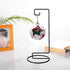 Black Iron Ornament Display Stand, Hanging Flower Pot Rack Holder for Glass Globe Air Plant Terrarium