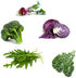500+ Packet, 5 Basic Salad Mix Veggie/Lettuce Seeds, Heirloom Seeds Per Non GMO Seeds, (Isla's Garden Seeds), Mix