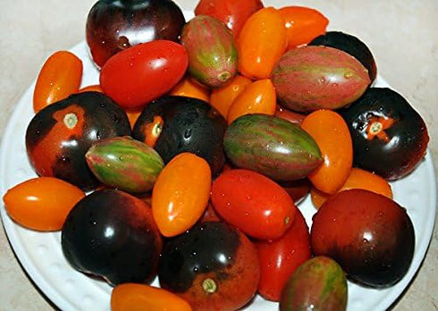 Harley Seeds 30 10 This is A Mix Cherry Tomato Mix Seeds Varieties Heirloom Non-GMO, Black, Lucky Tiger, Yellow Red