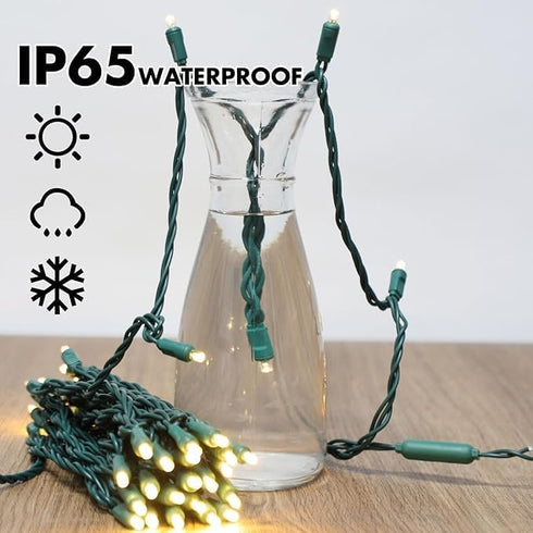 50LED 25FT 30% 70% Bulbs LAMPHOME String Lights, Twinkle and Steady String Light, Warm White LED Christmas Lights