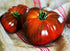 Harley Seeds 30 Paul Robeson Tomato Seeds, Heirloom Non-GMO, Low Acid, Indeterminate, Open-Pollinated, Rich Flavor