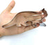 LILIAO Walking Cat Cookie Cutter for Kids - 5.4 x 2.4 Inches Stainless Steel