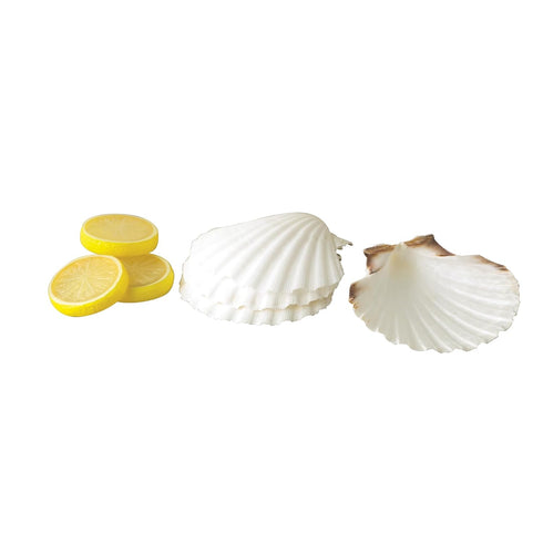 Maine Man Natural Baking Shells - 4-Inches, Set of 4