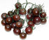Harley Seeds 30+ Black Cherry Tomato Seeds, Heirloom Non-GMO, Low Acid, Indeterminate, Open-Pollinated, Sweet