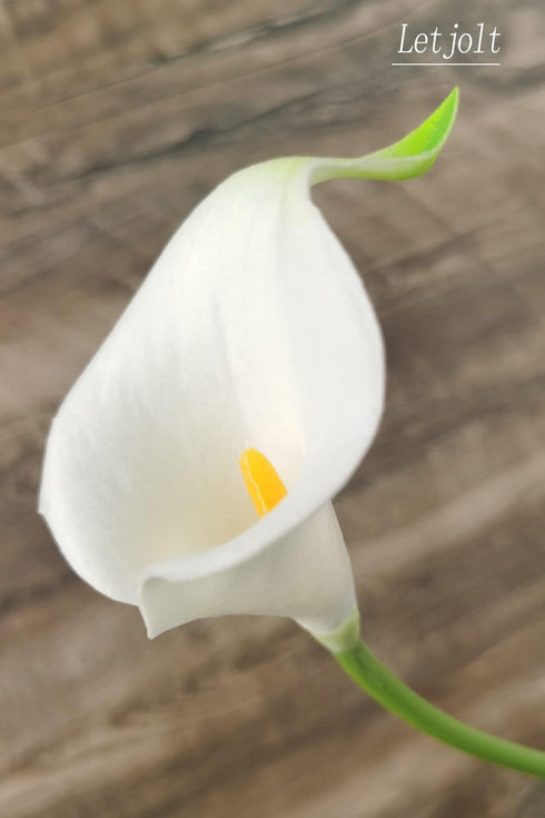 Letjolt Artificial Calla Lily White Flowers, 12Pcs Fake Flower Bouquet for Home Decoration Wedding Party Decor
