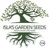 500+ Packet, Cosmic Purple Carrot Seeds for Planting, Heirloom Seeds Per (Isla's Garden Seeds), Non GMO Seeds