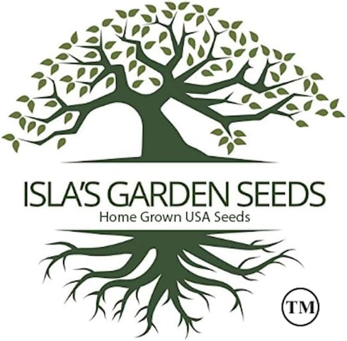 50+ Jackson Wonder Lima Bush Bean Seeds (Phaseolus lunatus) Heirloom Non-GMO Seeds by Islas Garden Seeds, Compact Bush