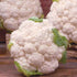 93% Gaea's Blessing Seeds - Cauliflower Seeds - Snowball Y Improved - Non-GMO Seeds with Easy to Follow Planting