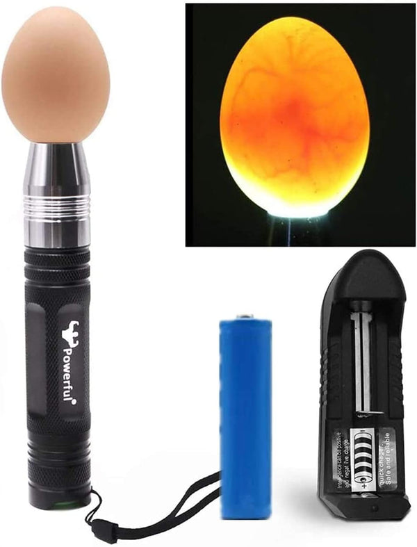 Powerful Professional LED Light Egg Candler Incubator Stainless Steel Tester for All Egg