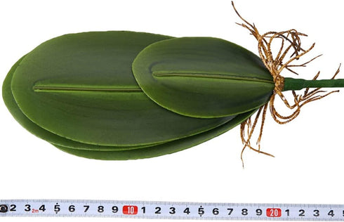 WINOMO Artificial Orchid Leaf, Fake Flower Leaf for Home Office Decoration