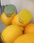 YZC Lemon Squeezer – 2-Pack BPA-Free Plastic Lime Juicer with Lid for Cocktails and Drinks