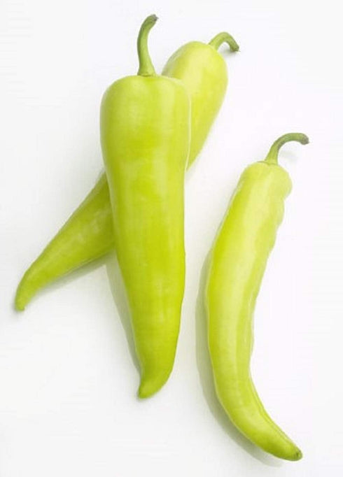 Sweet Banana Pepper Seeds,50 Count COOL BEANS N SPROUTS Brand. Heirloom. Non-GMO.