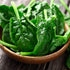 (3.0g) F-1 91% Pack 2 Gaea's Blessing Seeds - Spinach Seeds - with Easy to Follow Instructions Avon Hybrid Non-GMO Open