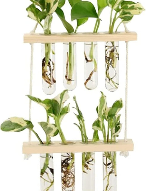 ORANGE NEI 2 Wall Hanging Planter, Tiered Plant Propagation Stations Plant Terrarium with Wooden Stand, Glass Planter