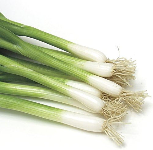 Park Seed Variety of Onions Plant Seeds, Easy to Grow, Perfect for