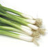 Park Seed Variety of Onions Plant Seeds, Easy to Grow, Perfect for