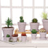 Yishang 1.9 Inch Tiny Pink Terracotta Pots, Pack of 12 Mini White Clay Planters with Drainage Holes for Tiny Cactus