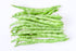 30+ Packet, Kentucky Wonder Bush Bean Seeds for Planting, Heirloom Seeds Per (Isla's Garden Seeds), Non GMO Seeds