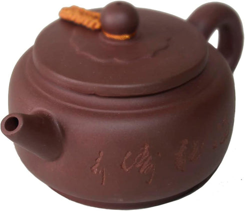 Zisha Clay Teapot, 8oz Chinese Tea Pot Ceramics Purple Sand Pot, Kungfu Tea Kettle with Filter for Loose Tea