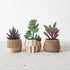 18 Pack Artificial Succulent Plants, Premium Fake Plants, Realistic Textured Cactus Decor