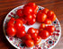 Reisetomate 20 Tomato Travel Voyage Seeds for Planting About Seeds