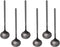 6 PCS Black Coffee Spoons, 18/8 Stainless Steel Espresso Spoons, 5.2 Inches, Vogue Mini Tea Spoon
