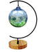 YY YEARCHY Awesomes Ornament Display Stand, Indoor Metal Air Plant Holder for Hanging Glass Globes
