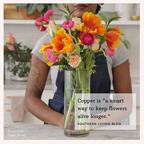Flower Food Alternative for Fresh Cut Flowers | Copper Charm Keeps Flower Water Clean and Clear | Reusable (2 Pack)