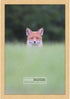 Poster Palooza 6x9 Traditional Natural Wood Picture Frame with UV Acrylic & Hanging Hardware